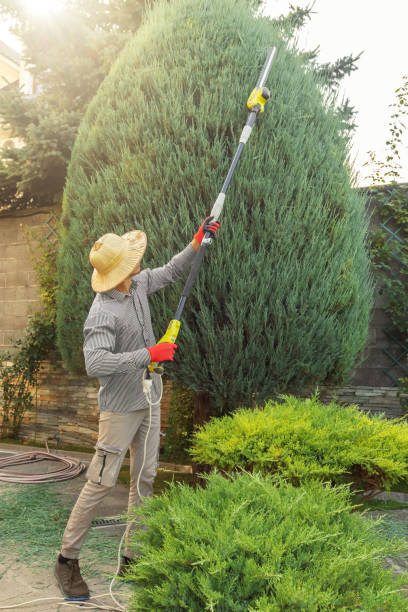 Best Storm Damage Tree Cleanup  in Atwater, CA